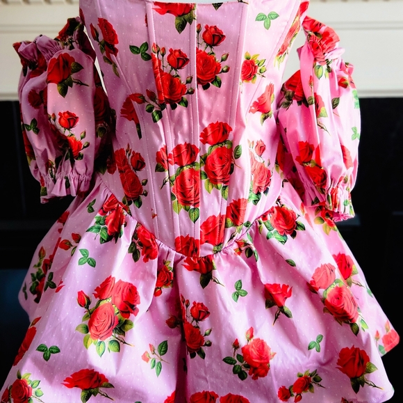NWT Holding Court Corset Dress - Pink SOLD OUT - Picture 2 of 7